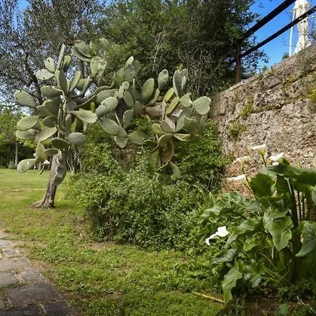 Fata Bianca Salento - Giardino Botanico Con Piscina * Novoli